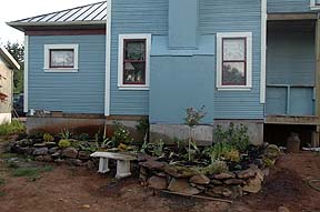 all planted and even a sprinker
                system installed