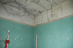 Bedroom 3 NE corner
                & ceiling