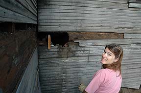 Kass
                approves of the repairs in progress!