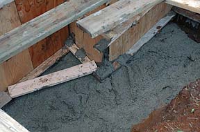 How we got it in
                that little frame!