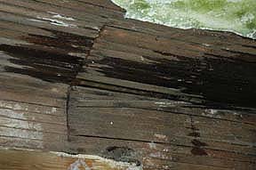 Closeup
                ceiling damage bedroom 2