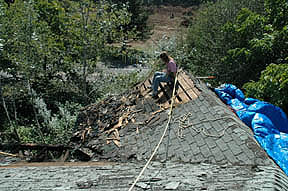 I think I can see our house from up here!