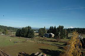 Life in the
                country