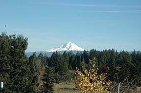 Mountain's
                Majesty